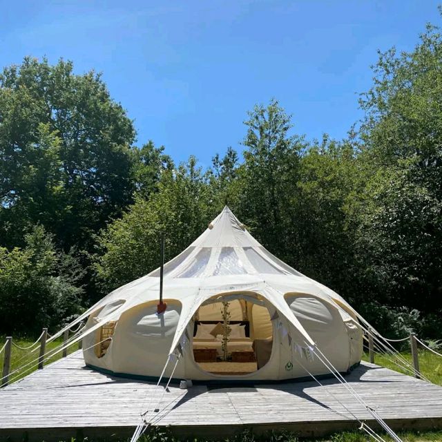 Camping with Family 