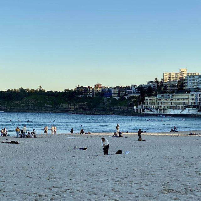 Bondi Beach - Sydney