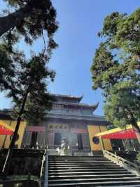 explore Lingyin Temple