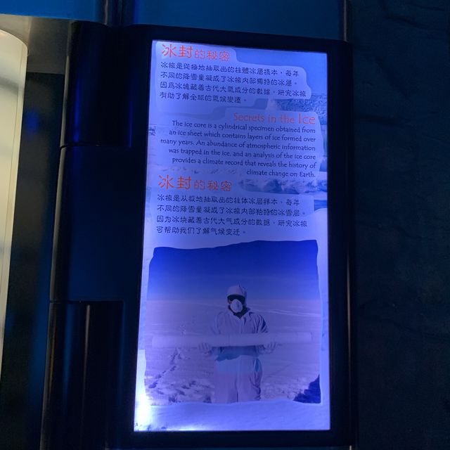 好奇北極狐習性和外貌