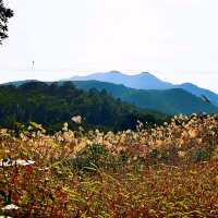 牙鷹山