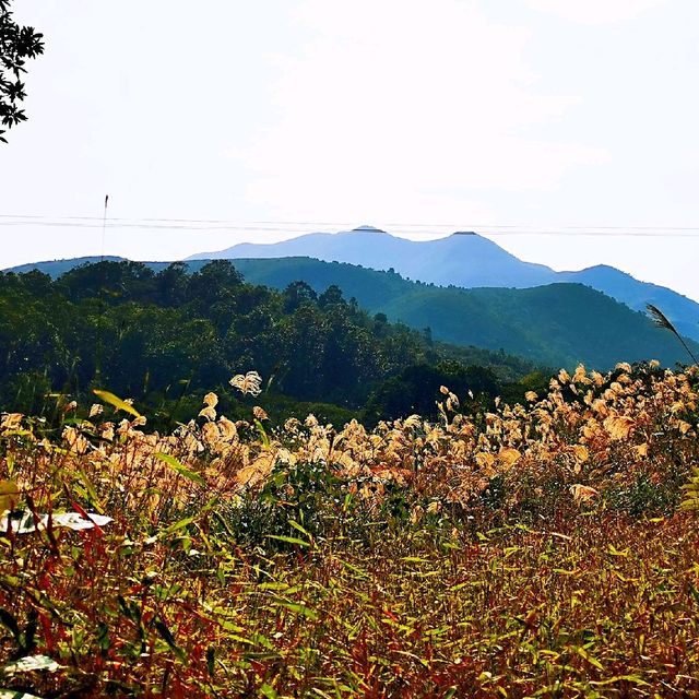 牙鷹山