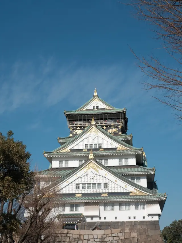 The famous castle of Osaka! 