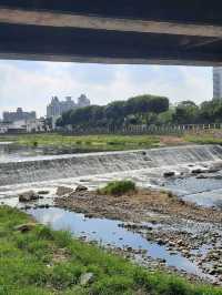 【桃園】散步好去處-桃林鐵路