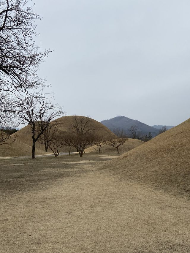 <경주> 경주 여행 필수코스! 황리단길