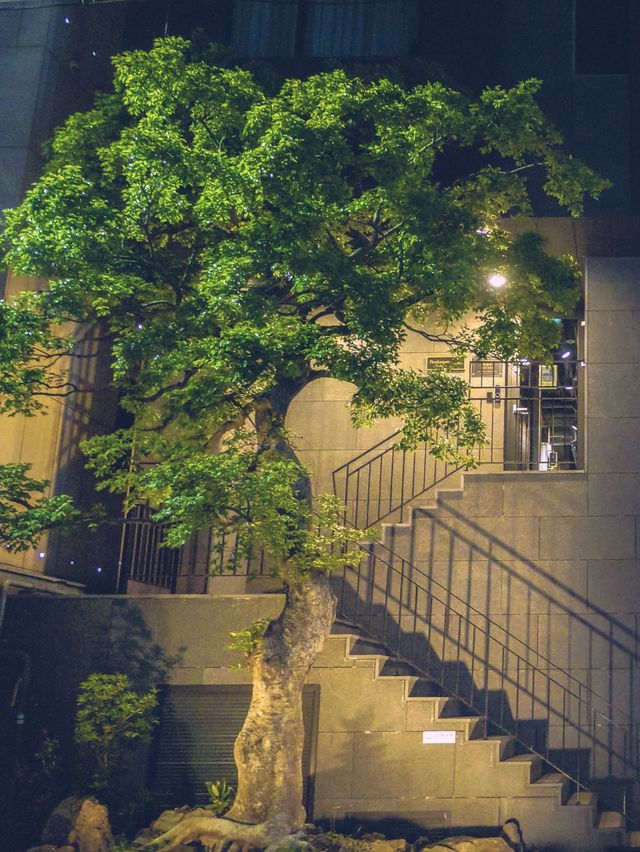 제주 도심, 감각적인 호텔을 찾는다면 이 곳✨