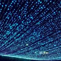 新莊幸福站🔮2022新北鯨彩中港光雕展🤩越夜越美麗✨