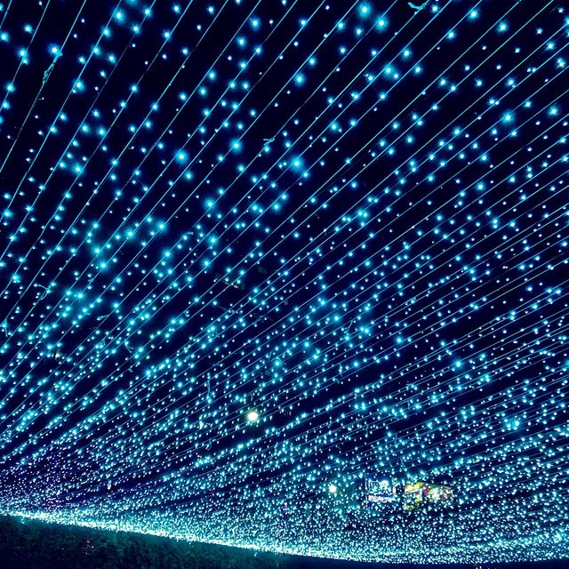 新莊幸福站🔮2022新北鯨彩中港光雕展🤩越夜越美麗✨