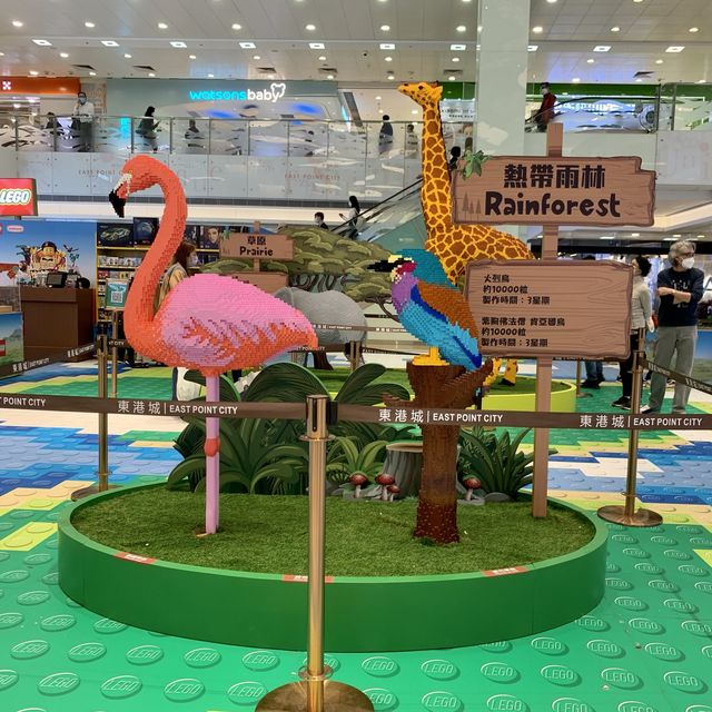 市區 動物園