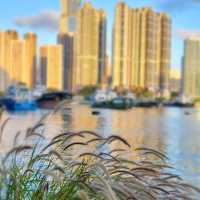 打卡勝地-藍巴勒海峽和青衣島的優美景色