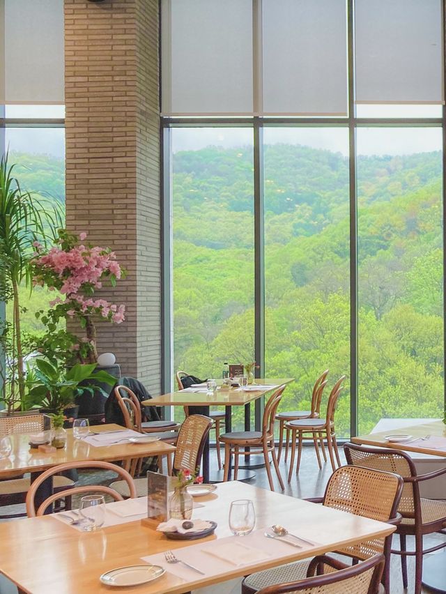 힐링 호캉스에는🪴 감성 호텔 레스토랑🍽