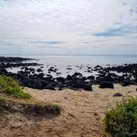 Great Ocean Road Scenic Spots