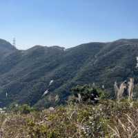山賞芒草之旅🌾
