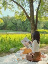 ⛱서울숲 피크닉 스팟은 여기✨