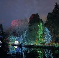 Christmas lights festival at the botanical gardens 