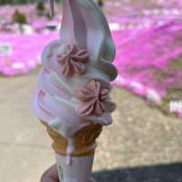 東藻琴の芝桜公園へ