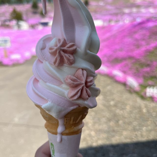 東藻琴の芝桜公園へ