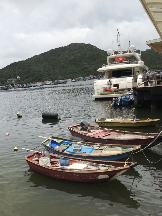 迷上索罟灣