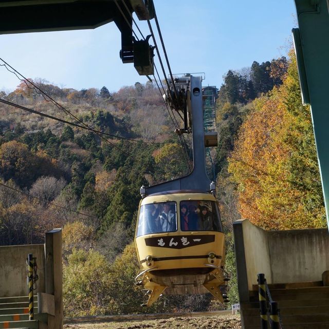 埼玉縣必去景點➡️ 寶登山⛰️⛰️