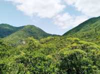 鰂魚涌坳