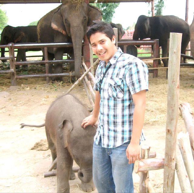 ชวนไปเล่นกับช้างน้อย@ เพนียดคล้องช้างอยุธยา