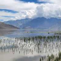 The Magical/ mythical World's highest Plains
