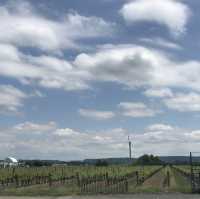 Canadian Ice Wine vinery - Inniskillin Winery