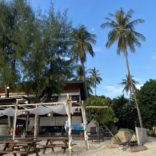 เกาะหลีเป๊ะ 🌊🌴
