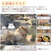 ドーミーイン御殿場宿泊記～屋上テラスから富士山見えた！