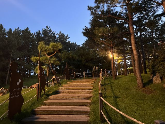 🇰🇷오션뷰 선셋 시네마를 감상 할수 있는 곳~🎞