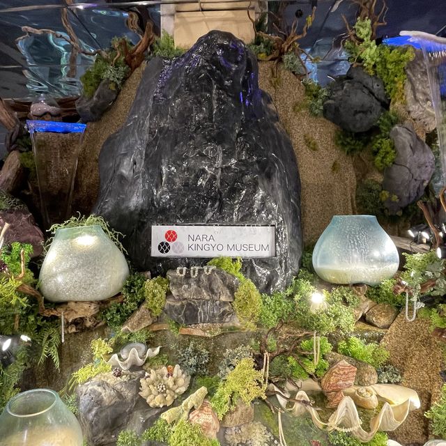 【奈良県】日本最大級の金魚ミュージアムを堪能！