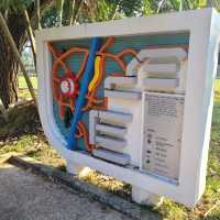 Sense Discovery Garden