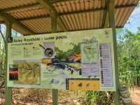 澳洲北領地最熱門的即日來回目的地 - 李治菲特國家公園