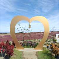 愛知県！花畑が素晴らしい花ひろば