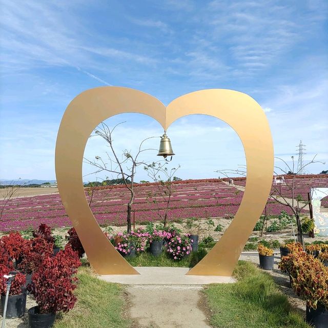 愛知県！花畑が素晴らしい花ひろば
