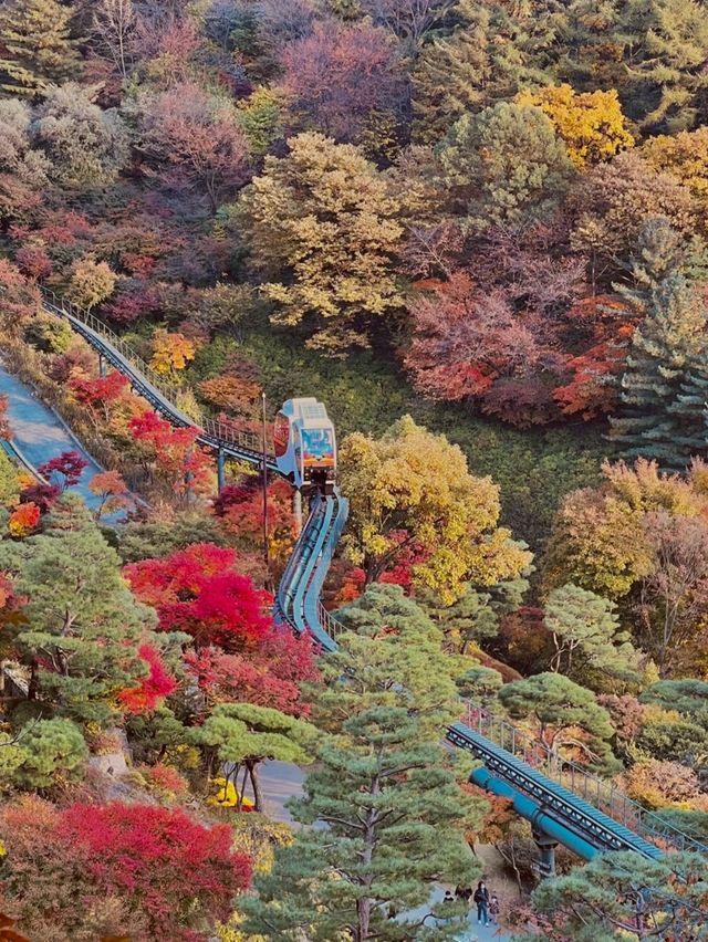 가을 단풍 명소 화담숲 미리보기🍁