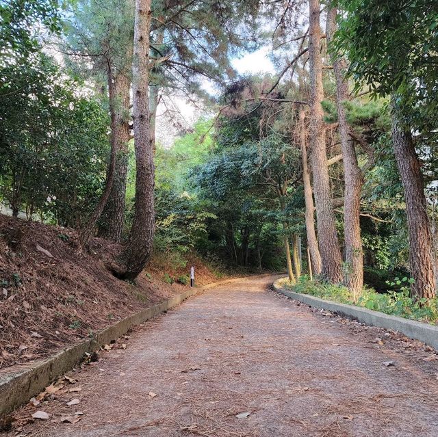 🚶🏻 도심 속 숲길을 거닐다, 한라수목원 산책길