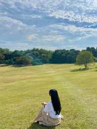 서울 올림픽공원의 메인 나홀로나무🌳 