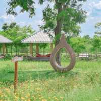 คาเฟ่นครนายก! เกาหลี เกาใจ ธรรมชาติสุดๆ สวยมาก