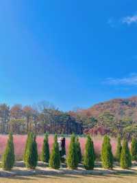 🌿인생샷 보장카페, 유리원🌿