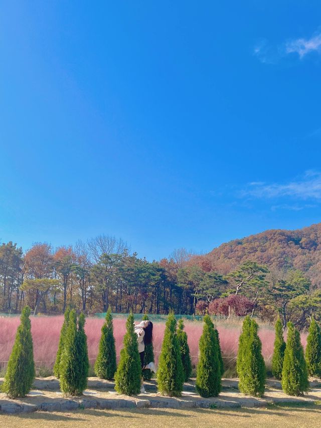 🌿인생샷 보장카페, 유리원🌿