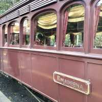 Puffing Billy Train Ride Experience