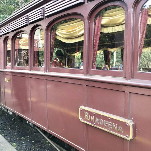 Puffing Billy Train Ride Experience