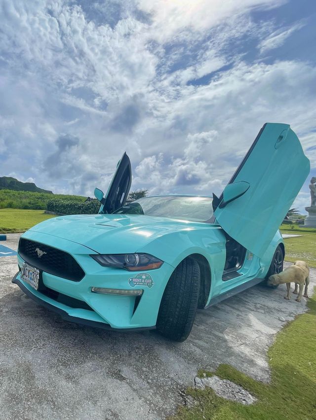 사이판 여행 필수 오픈카, 머스탱 렌트🐎