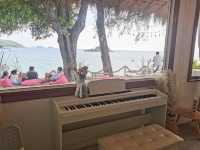 Curve Beach Cafe


