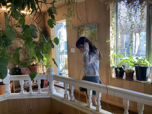 연남 숨겨진 지브리 분위기 카페 벌스VERS 🌟🌟