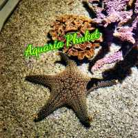 Aquaria Phuket 
