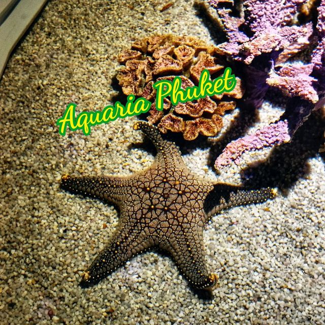 Aquaria Phuket 