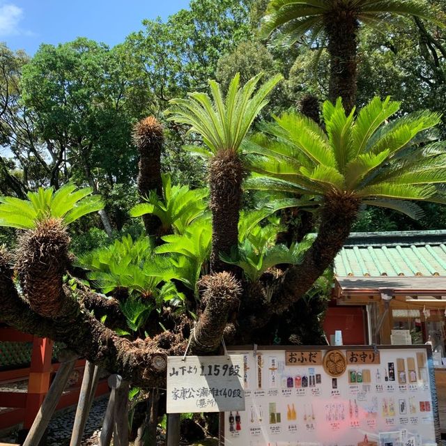 靜岡 日本平&東照宮
