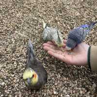 南澳必去動物園之一